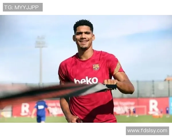 劳塔罗的崛起：从青涩小将到世界足坛的闪耀明星